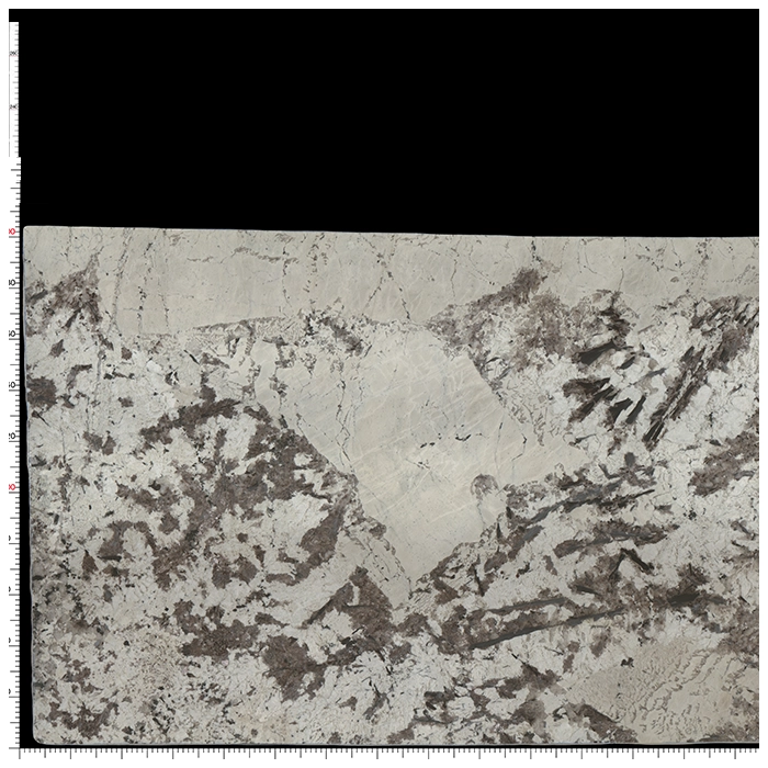 Alpinus White Granite Polished Slab