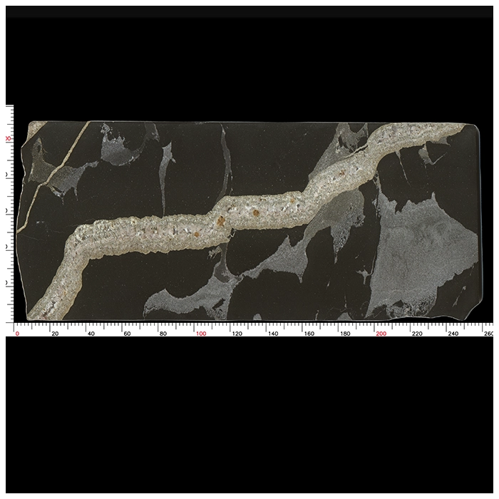 Python Black Granite Slab